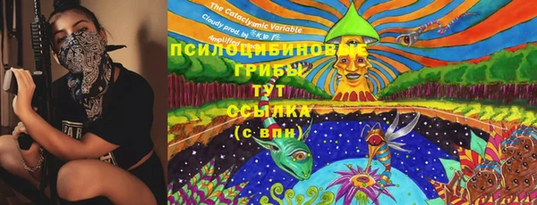 стаф Беломорск