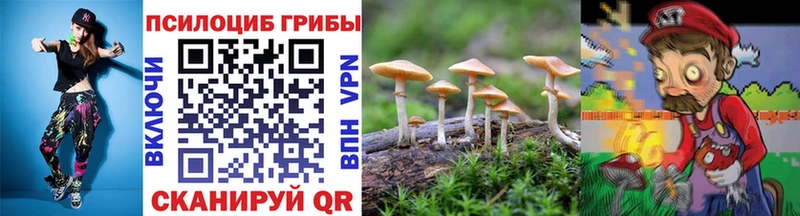 цены   Ершов  Псилоцибиновые грибы мицелий 